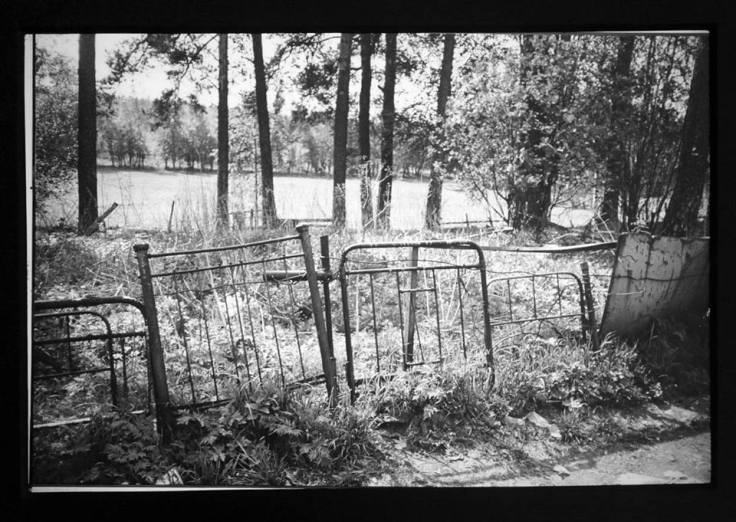 Ольга Чернышева "Улица сна" 1999 г.